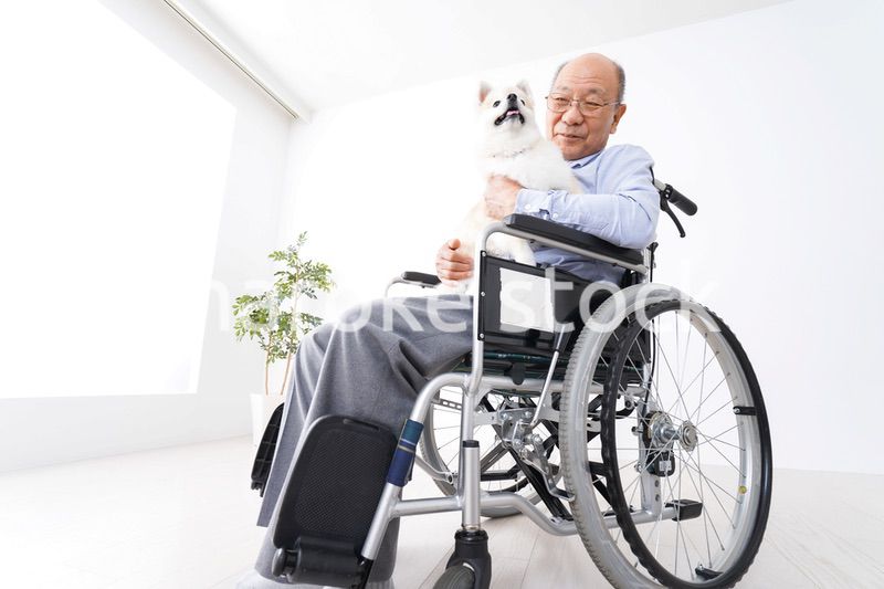犬を飼う車椅子に乗った高齢の男性