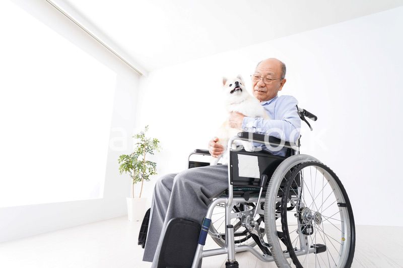 犬を飼う車椅子に乗った高齢の男性