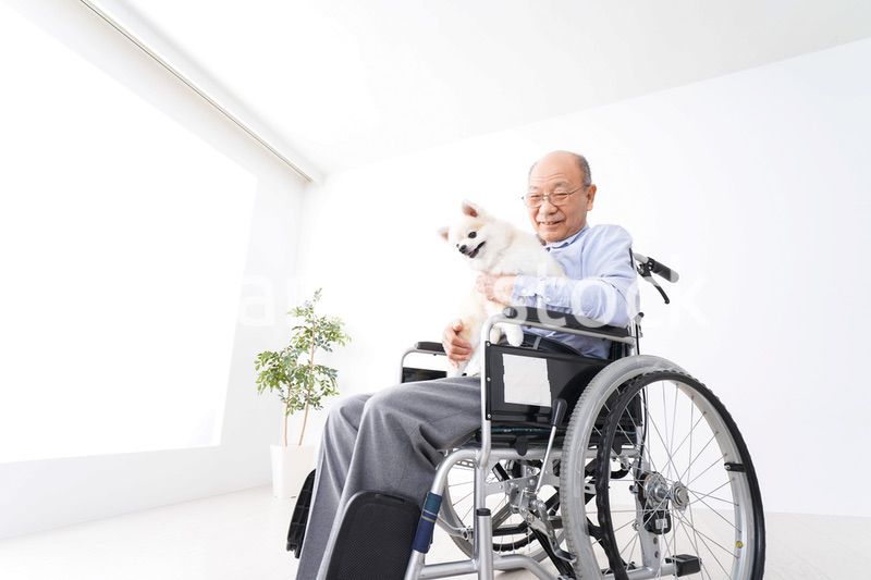犬を飼う車椅子に乗った高齢の男性
