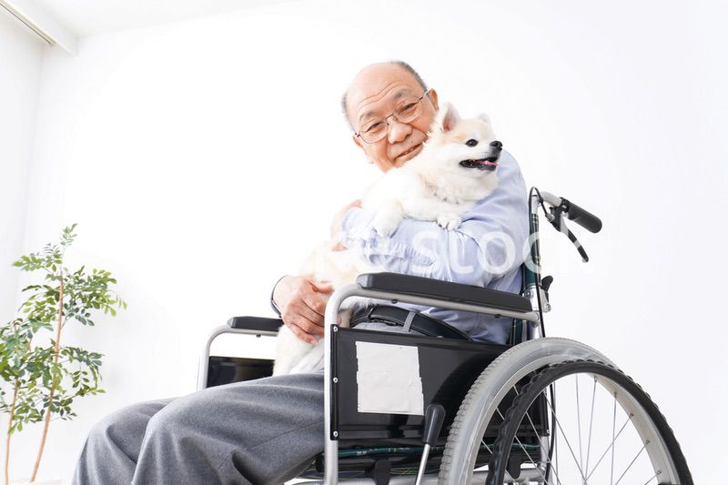 犬を飼う車椅子に乗った高齢の男性
