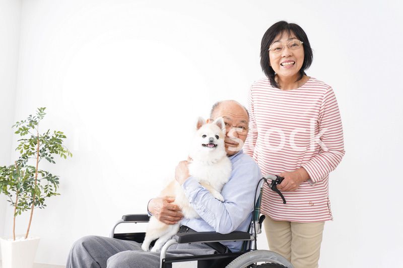 介護をする高齢の夫婦