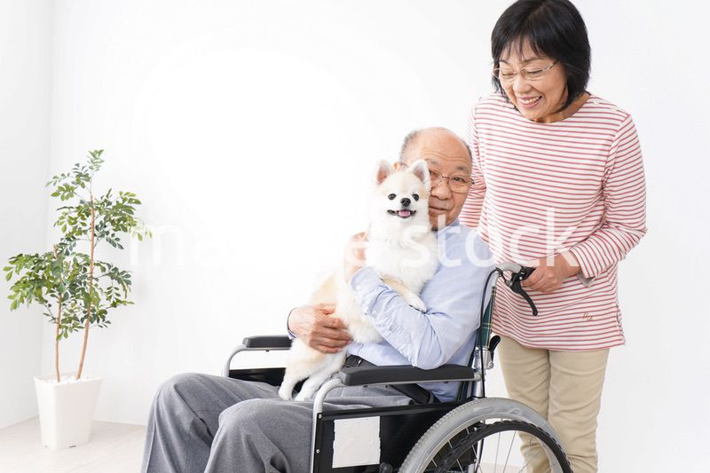 介護をする高齢の夫婦