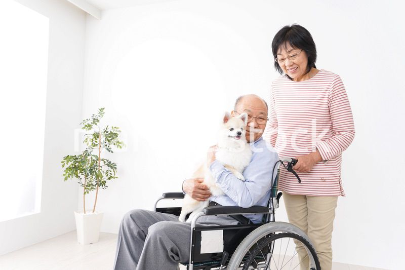 介護をする高齢の夫婦