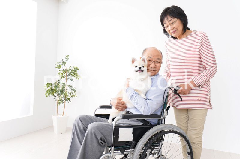 介護をする高齢の夫婦