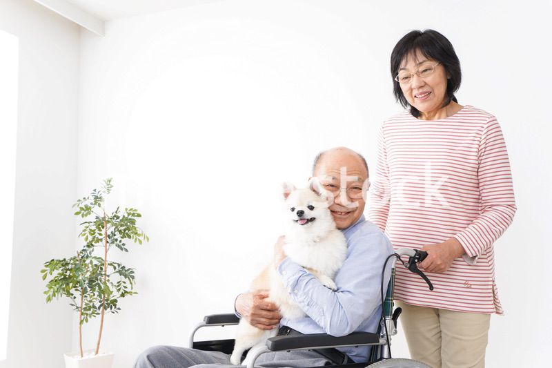 介護をする高齢の夫婦