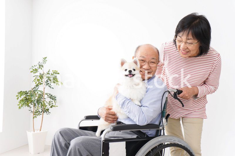 介護をする高齢の夫婦