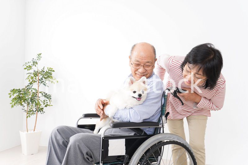 介護をする高齢の夫婦