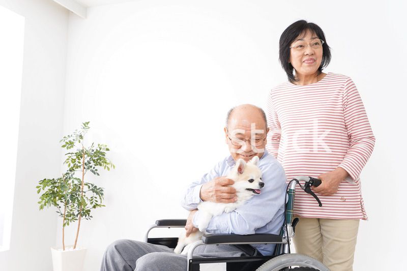 介護をする高齢の夫婦