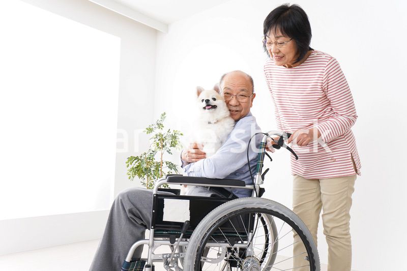 介護をする高齢の夫婦