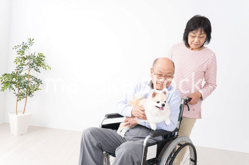 介護をする高齢の夫婦