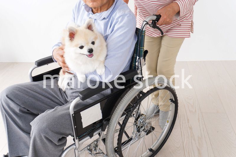 介護をする高齢の夫婦