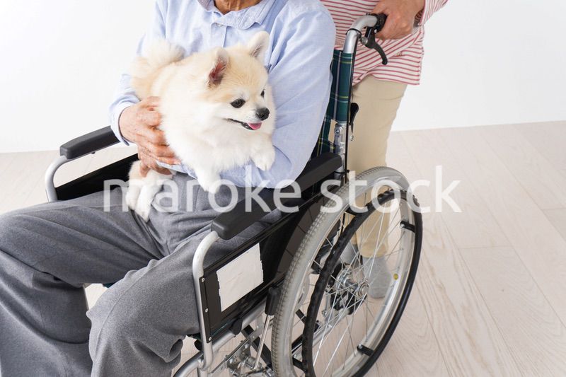 介護をする高齢の夫婦