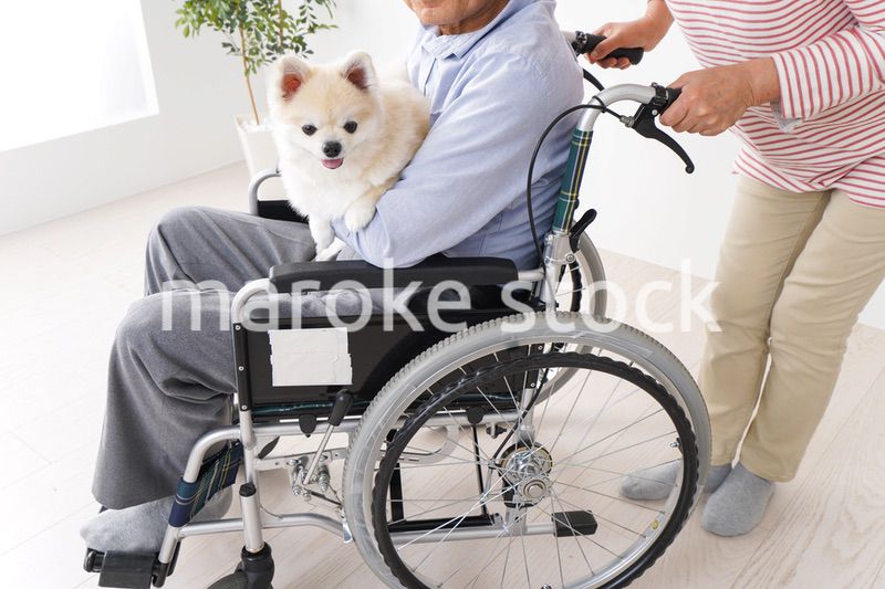 介護をする高齢の夫婦