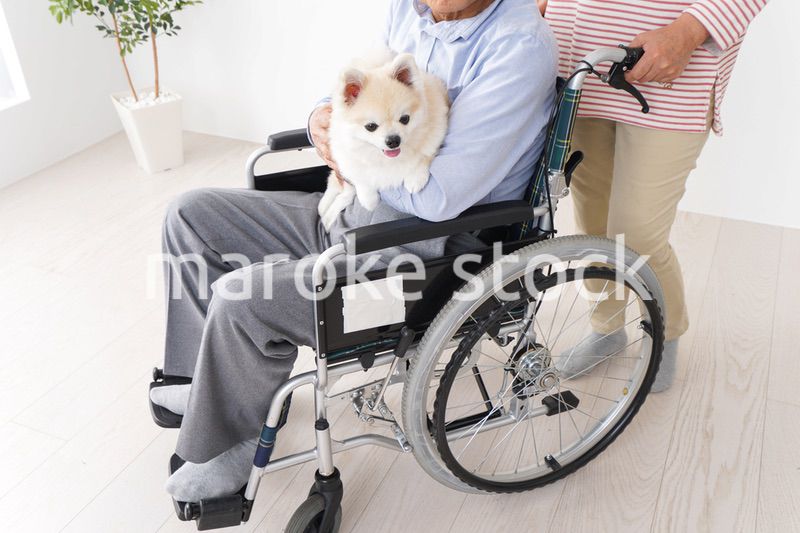 介護をする高齢の夫婦