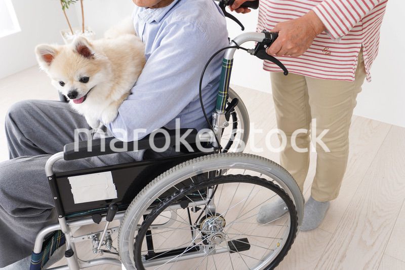 介護をする高齢の夫婦