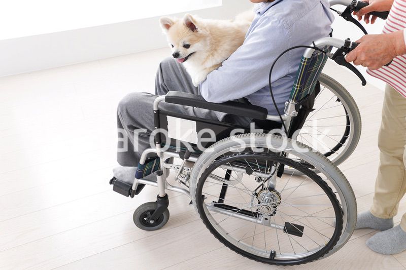 介護をする高齢の夫婦