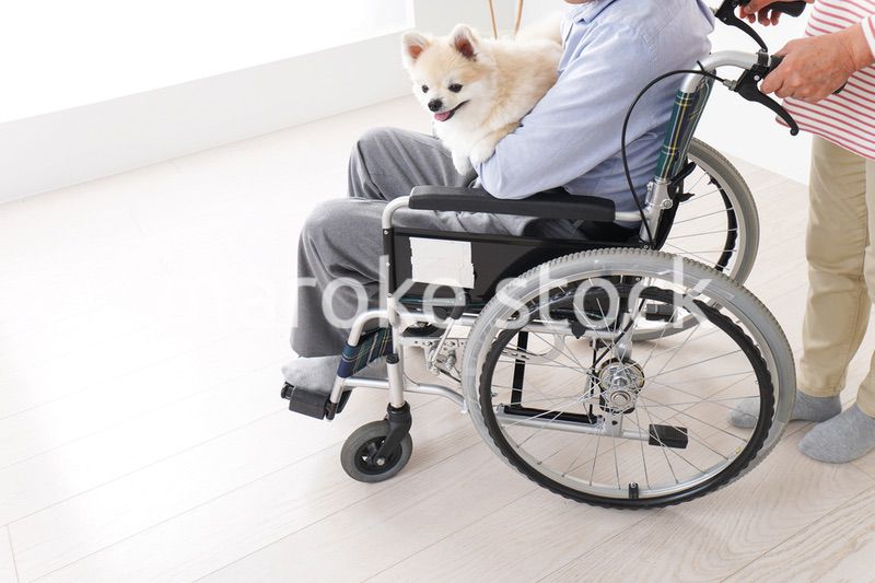 介護をする高齢の夫婦