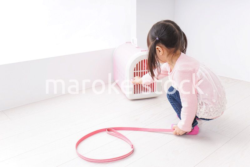 犬のお世話をする子ども