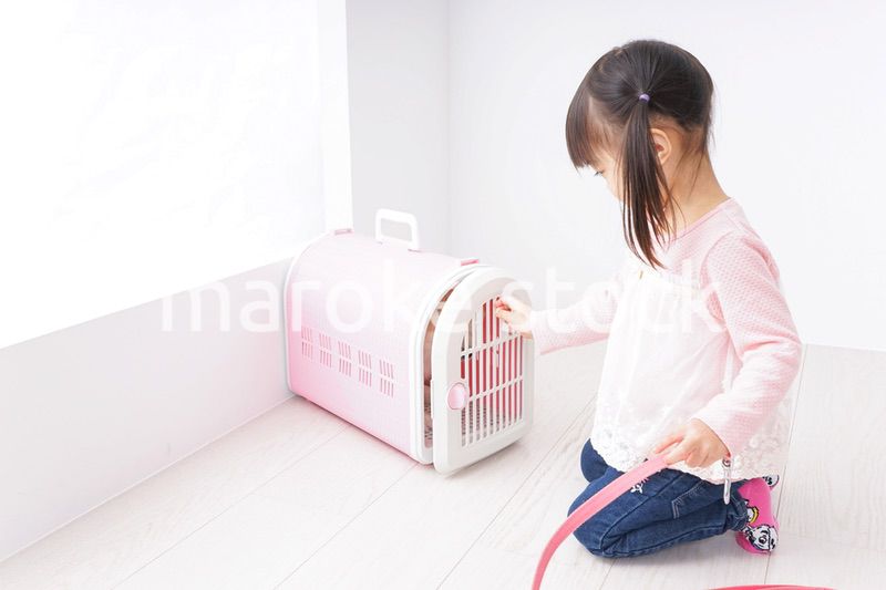 犬のお世話をする子ども