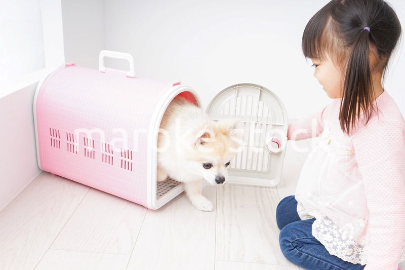 ペットの世話をする子ども