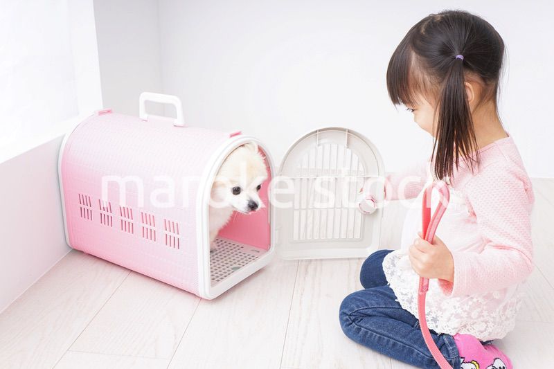 犬のお世話をする子ども