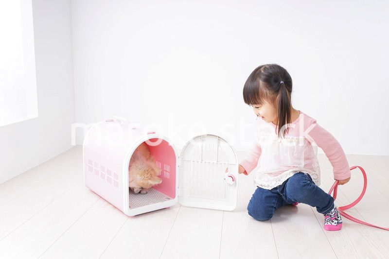 犬のお世話をする子ども