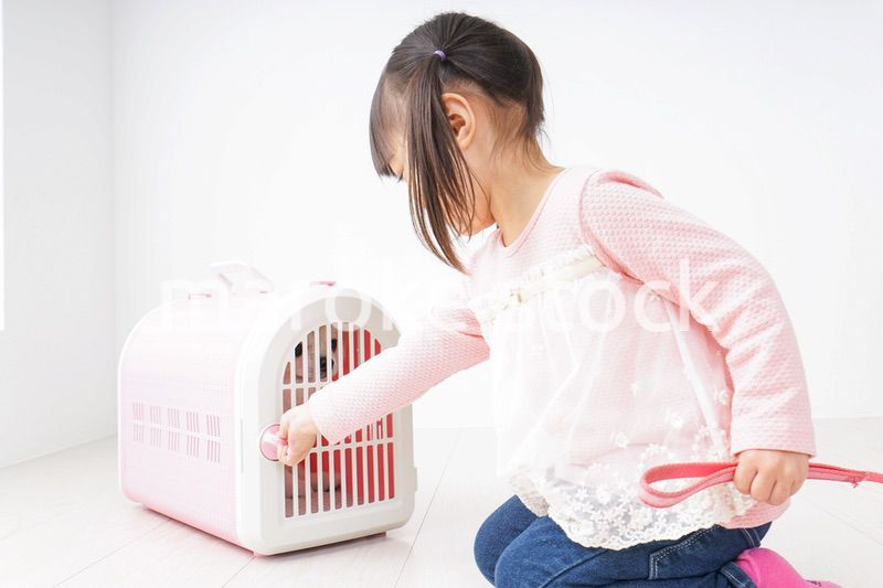 ペットの世話をする子ども