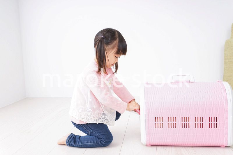 犬のお世話をする子ども