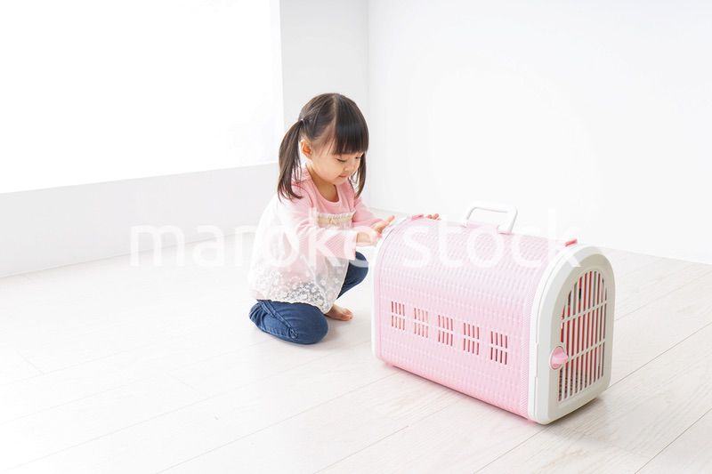 ペットの世話をする子ども