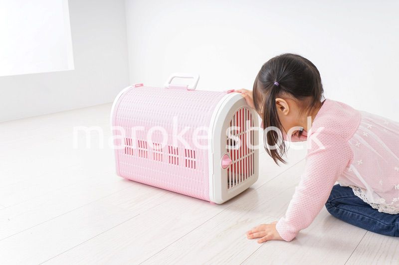 ペットの世話をする子ども