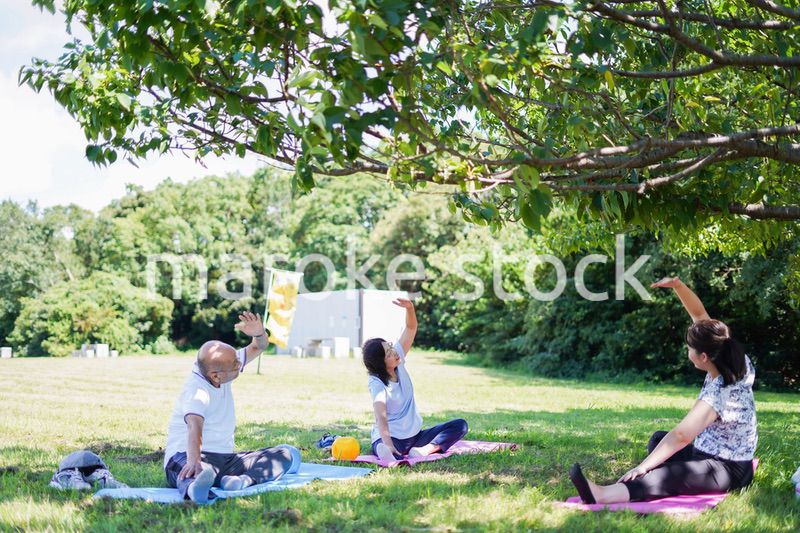 野外でヨガをする高齢者