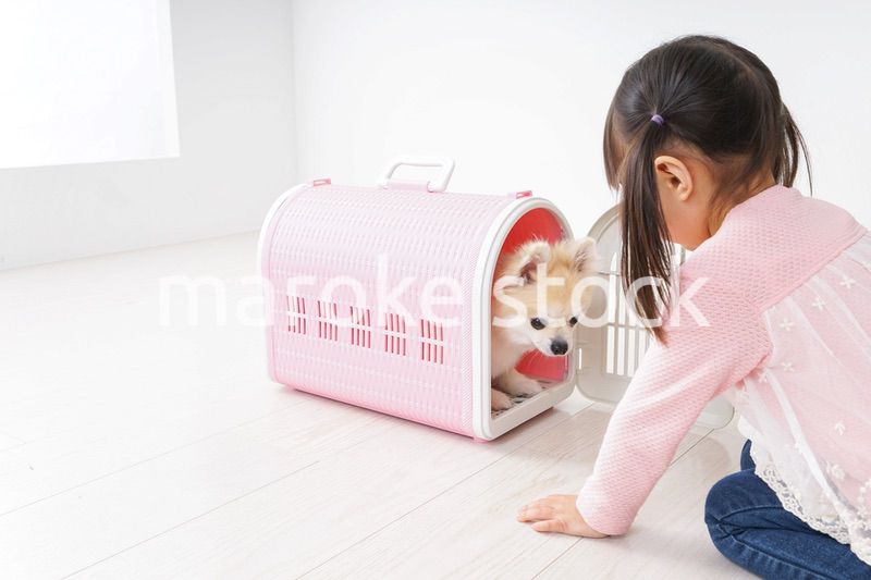 ペットの世話をする子ども