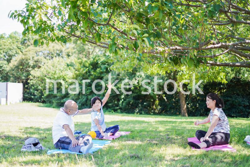 野外でヨガをする高齢者