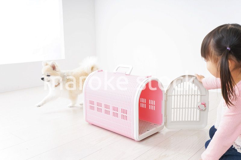 ペットの世話をする子ども