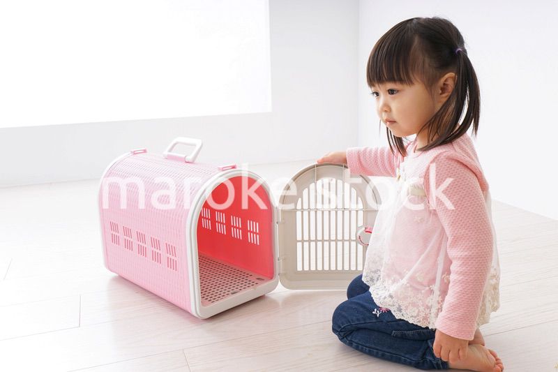 犬のお世話をする子ども