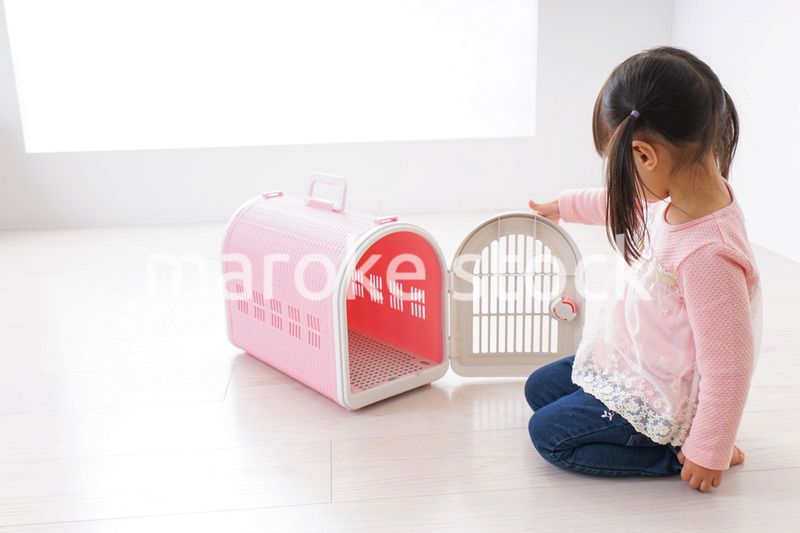 犬のお世話をする子ども