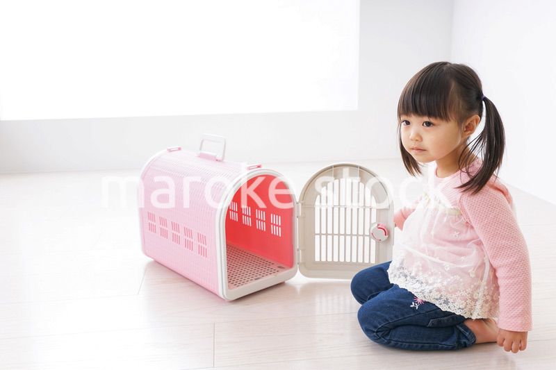 犬のお世話をする子ども