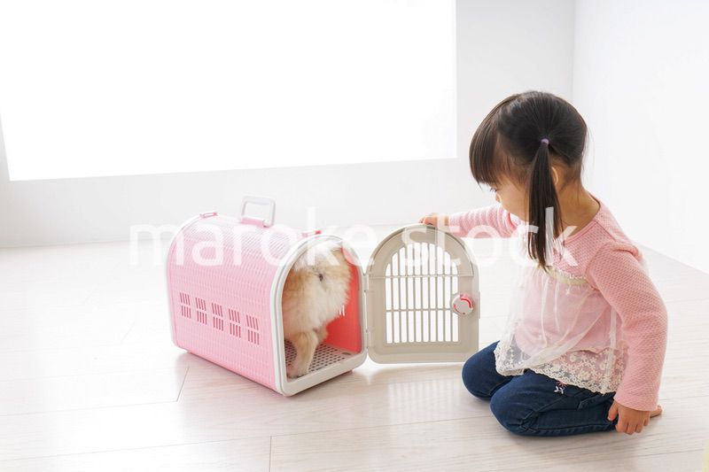 ペットの世話をする子ども