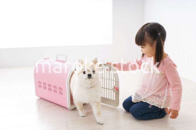 ペットの世話をする子ども