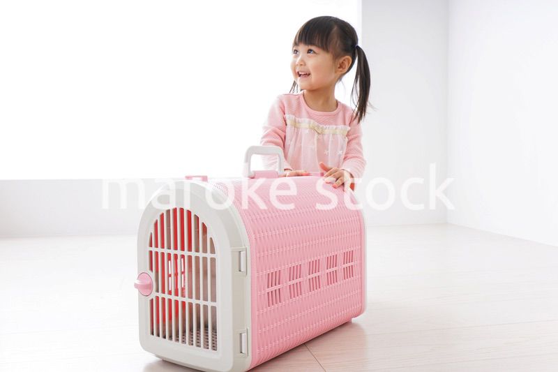 犬のお世話をする子ども