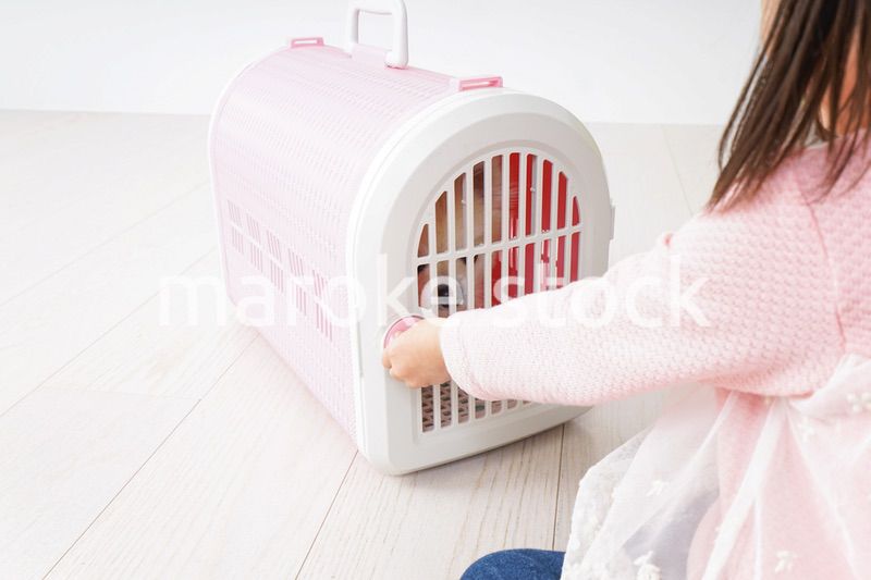 ペットの世話をする子ども