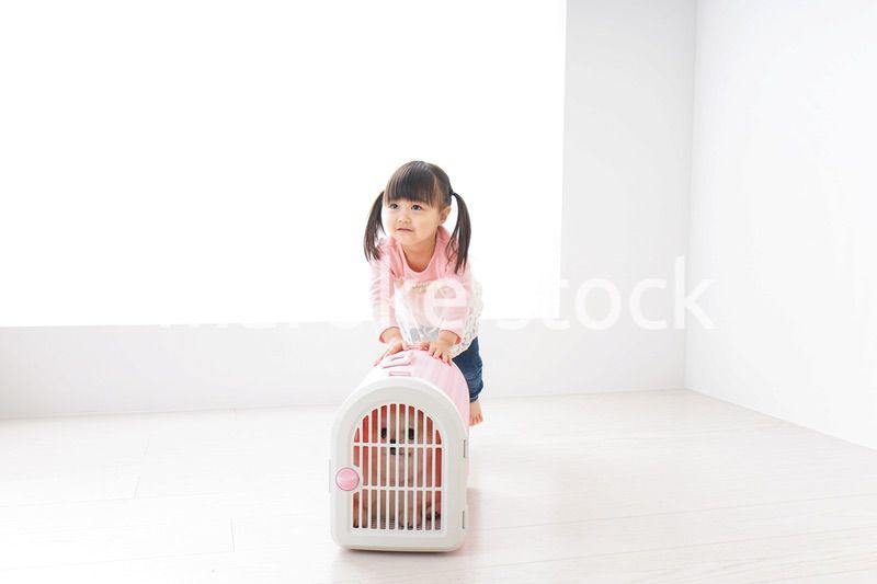 ペットの世話をする子ども