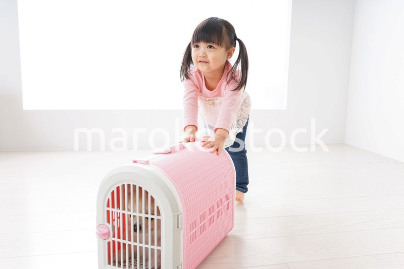 ペットの世話をする子ども