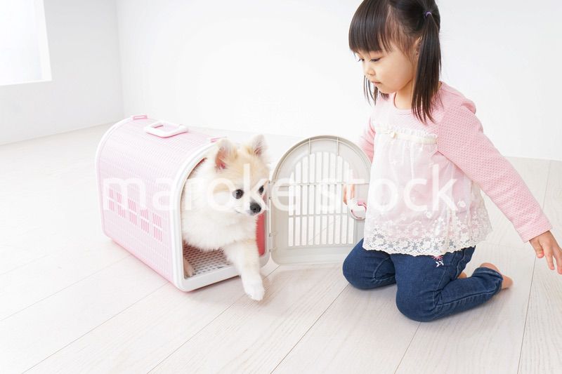 ペットの世話をする子ども