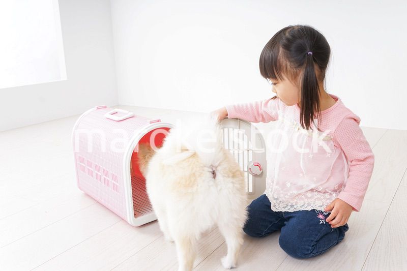 ペットの世話をする子ども