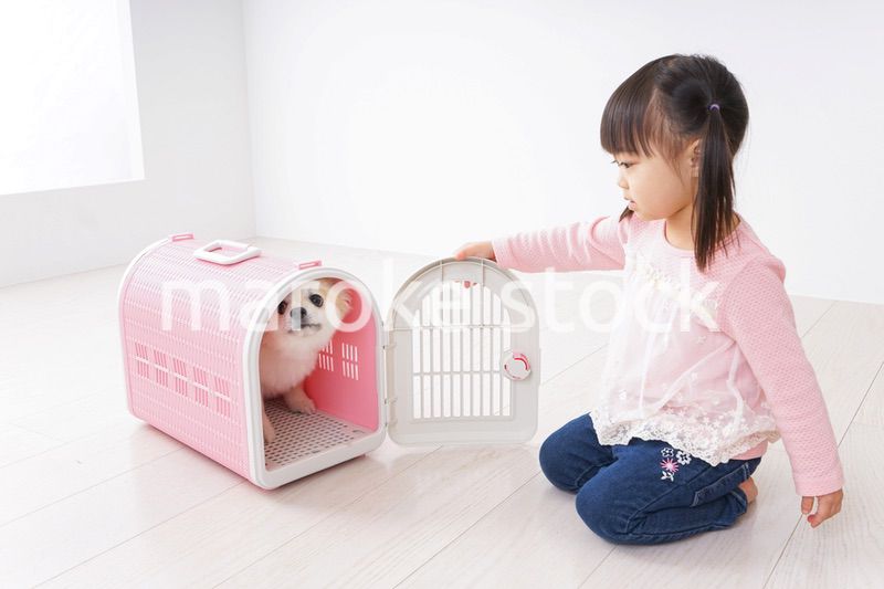 犬のお世話をする子ども