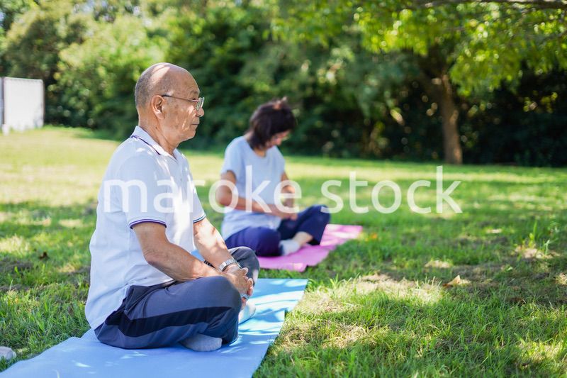 野外でヨガをする高齢者