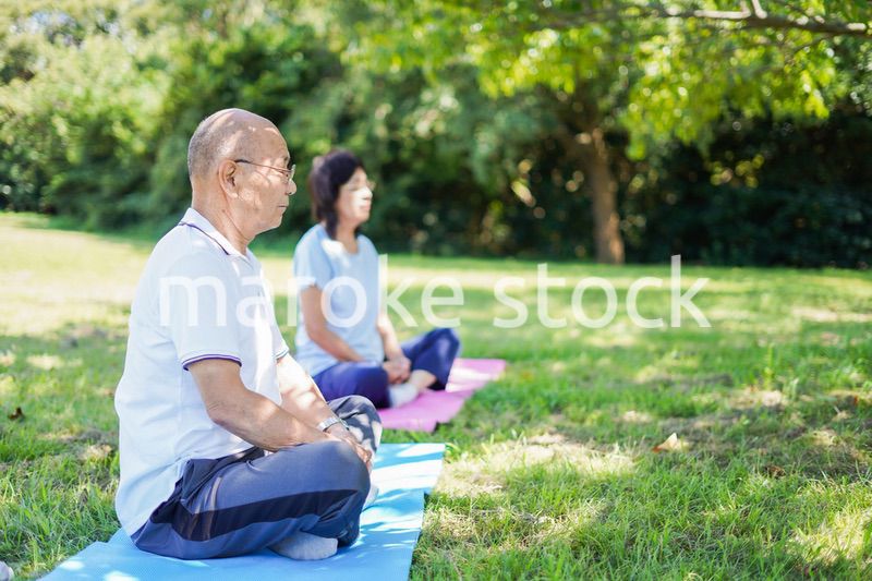 野外でヨガをする高齢者