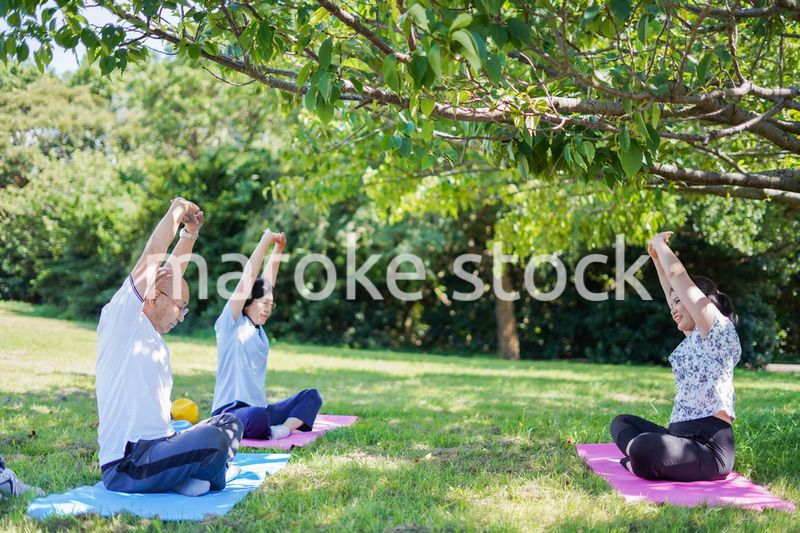 野外でヨガをする高齢者