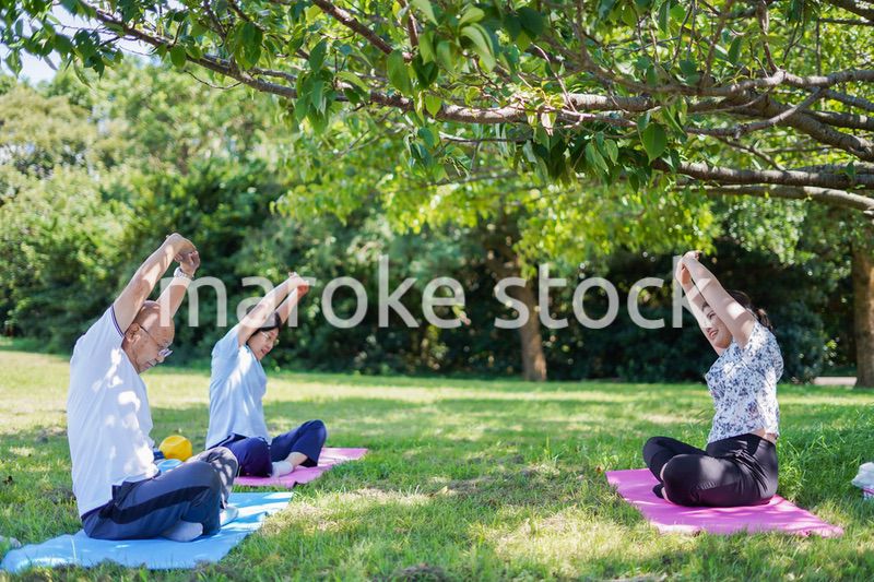 野外でヨガをする高齢者